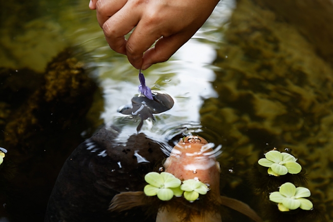 Muang Boran-2013-263